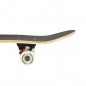 Skateboard CR3108 Camper NILS Extreme