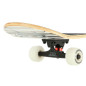 Skateboard CR3108 Camper NILS Extreme