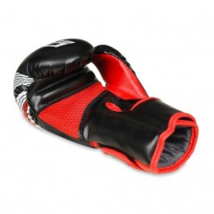 Boxerské rukavice ARB407v2 DBX Bushido, 6 oz.