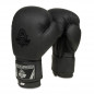 Boxerské rukavice B-2v12 DBX Bushido Boxerské rukavice B-2v12 DBX Bushido