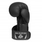Boxerské rukavice B-2v12 DBX Bushido Boxerské rukavice B-2v12 DBX Bushido