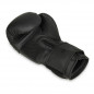Boxerské rukavice B-2v12 DBX Bushido Boxerské rukavice B-2v12 DBX Bushido