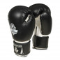 Boxerské rukavice ARB-407a DBX Bushido Boxerské rukavice ARB-407a DBX Bushido