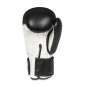 Boxerské rukavice ARB-407a DBX Bushido Boxerské rukavice ARB-407a DBX Bushido
