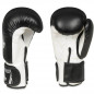 Boxerské rukavice ARB-407a DBX Bushido Boxerské rukavice ARB-407a DBX Bushido