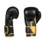 Boxerské rukavice B-2v10 DBX Bushido Boxerské rukavice B-2v10 DBX Bushido