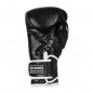 Boxerské rukavice BB5 DBX Bushido