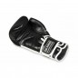 Boxerské rukavice BB5 DBX Bushido
