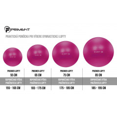 Lifefit Anti-Burst Gymball, 85 cm