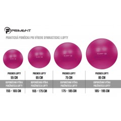 Lifefit Anti-Burst Gymball, 75 cm