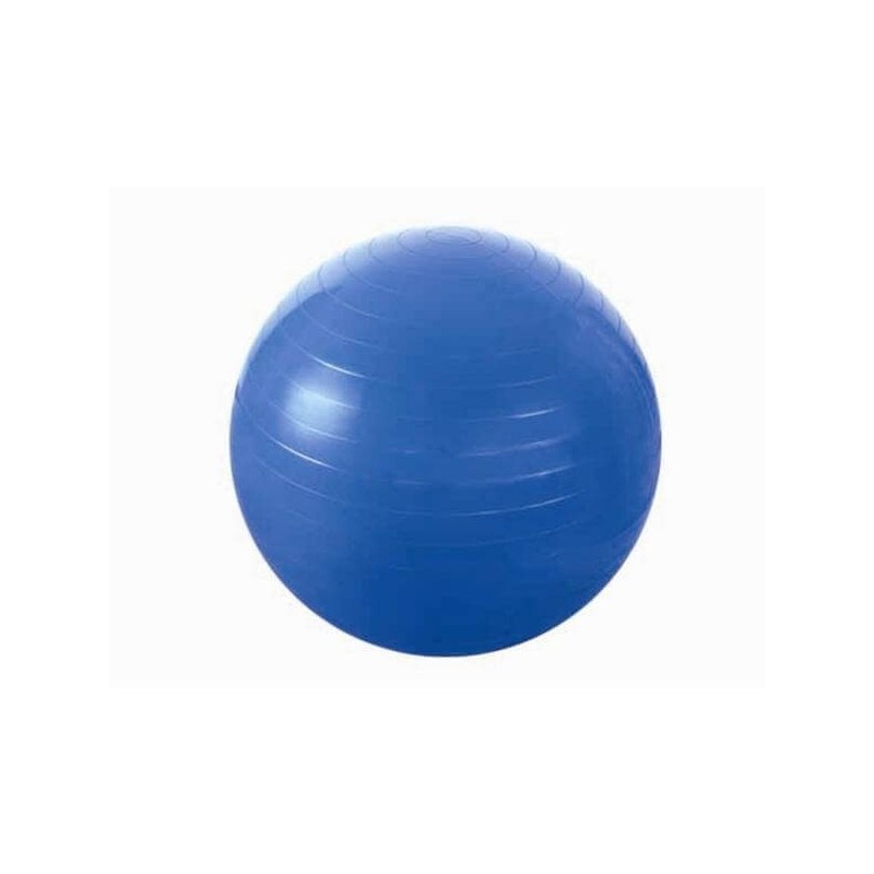 Gymnastická lopta YB01 HMS, 55 cm, modrá
