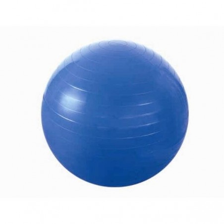 Gymnastická lopta YB01 HMS, 55 cm, modrá